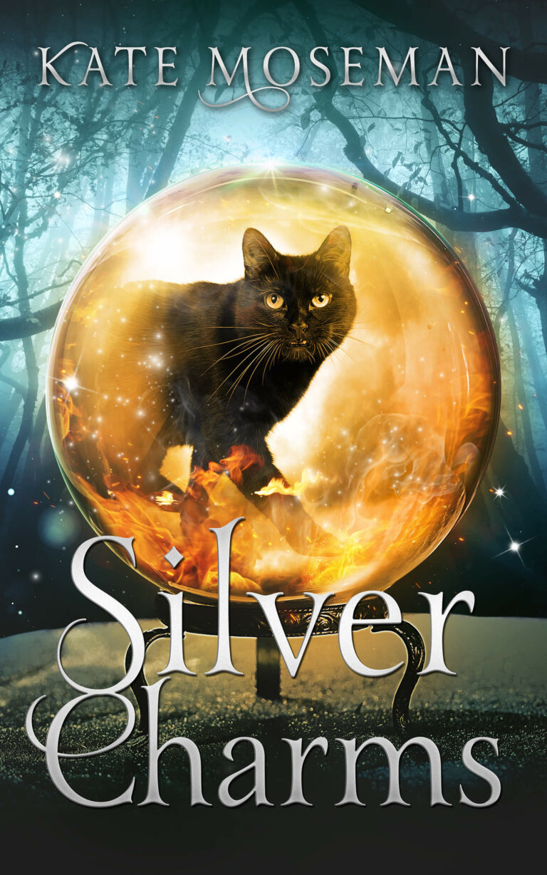 Silver Charms book cover